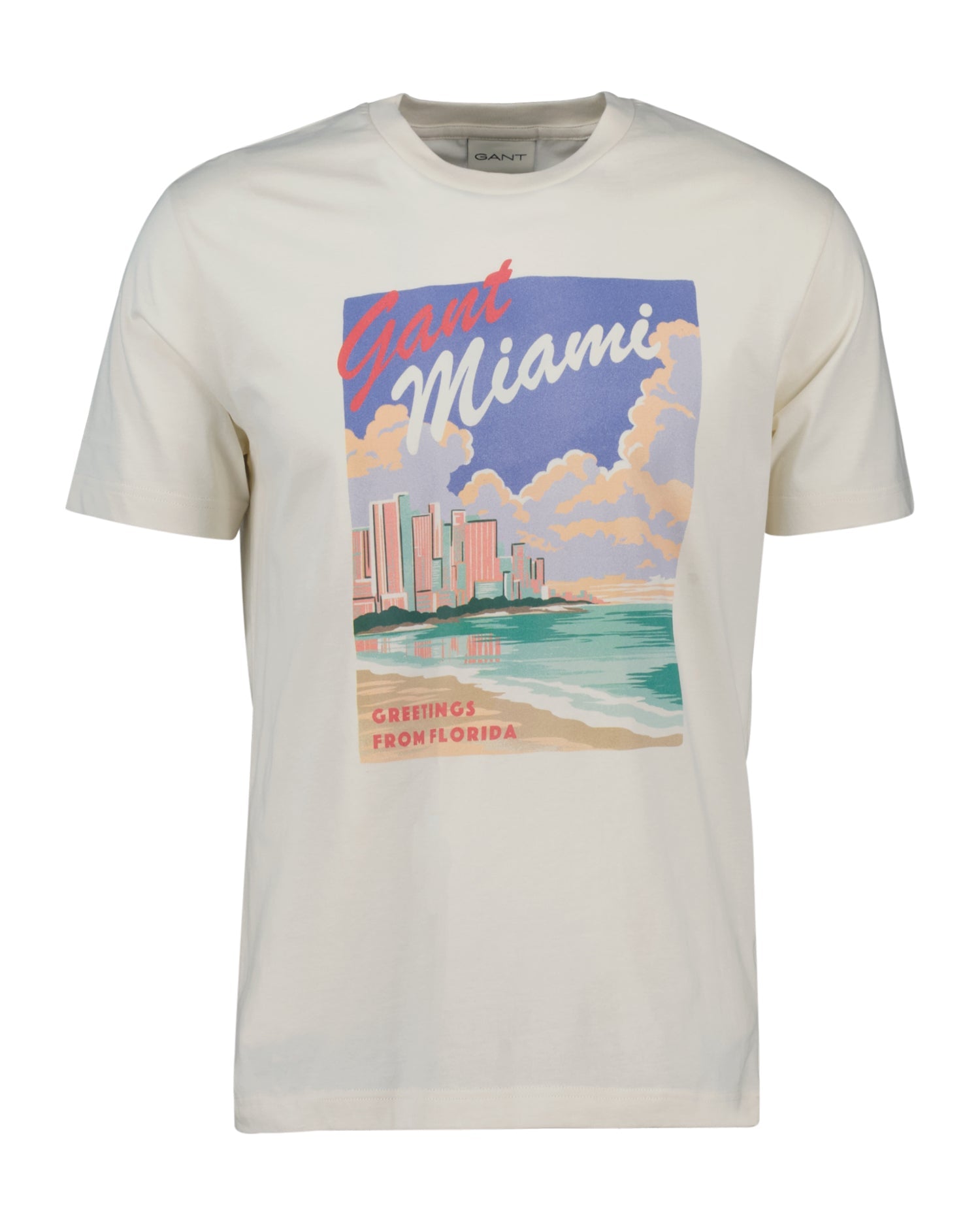 T-Shirt Graphic Print