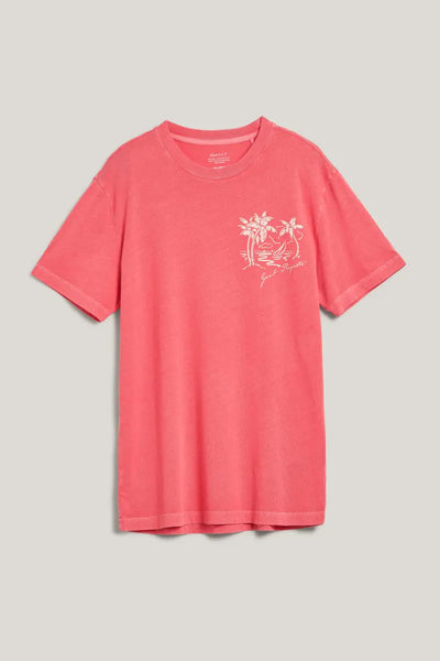 T-Shirt Με Ξεθωριασμένο Graphic GANT