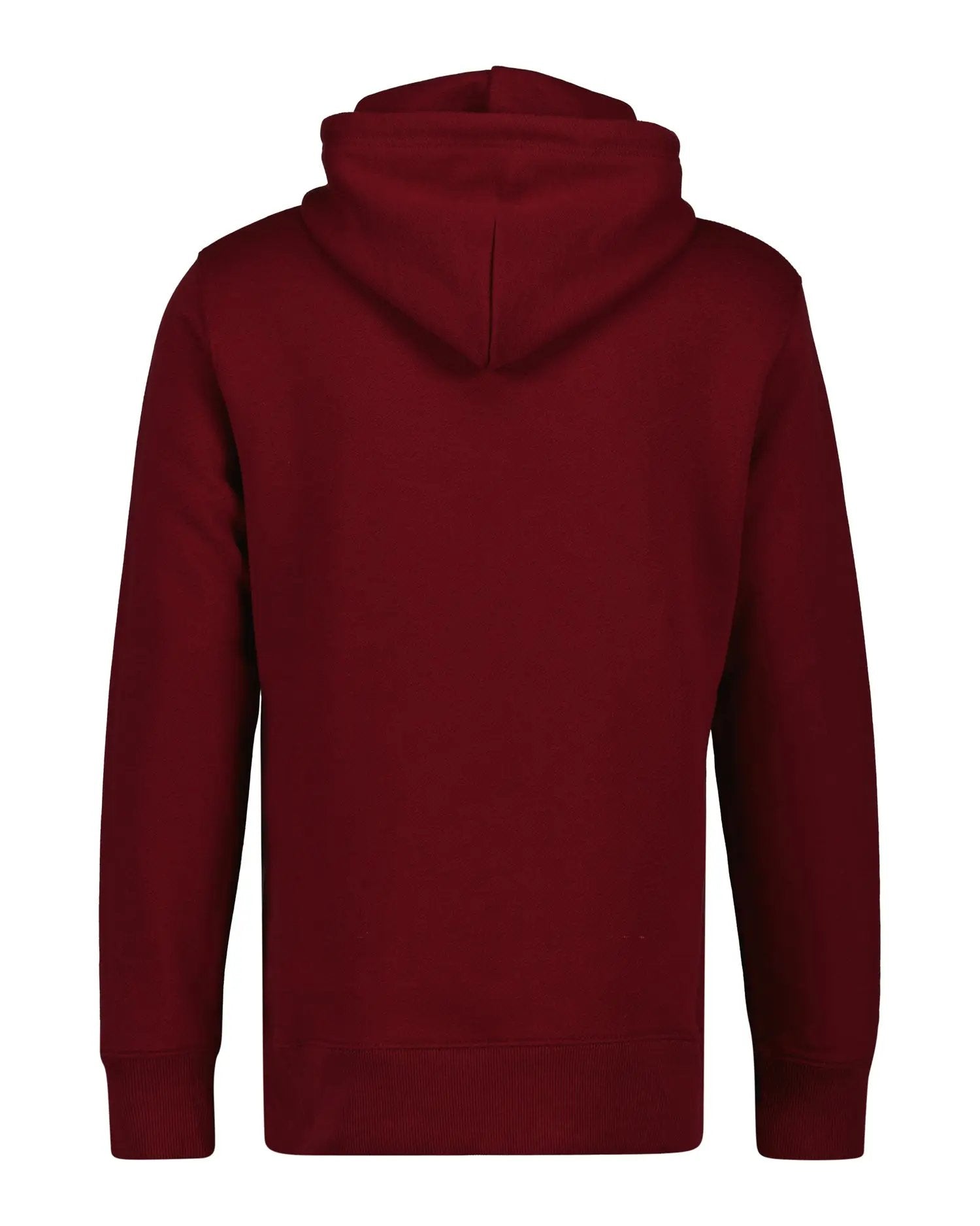 Φούτερ Μικρό GANT Graphic Με Κουκούλα GANT