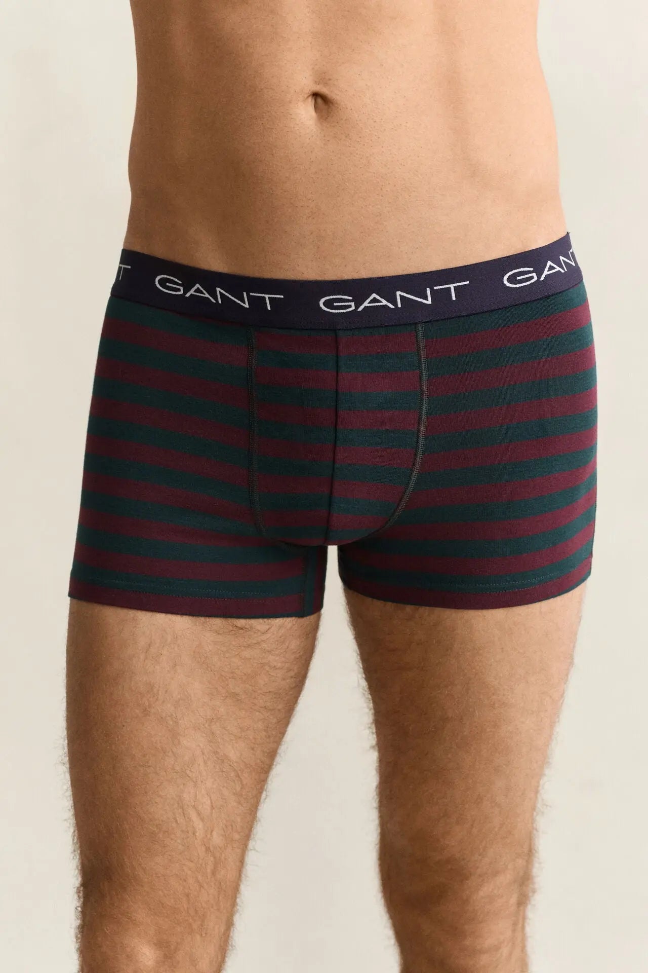 Σετ Δώρου Εσώρουχα Trunk 3 Τεμαχίων GANT