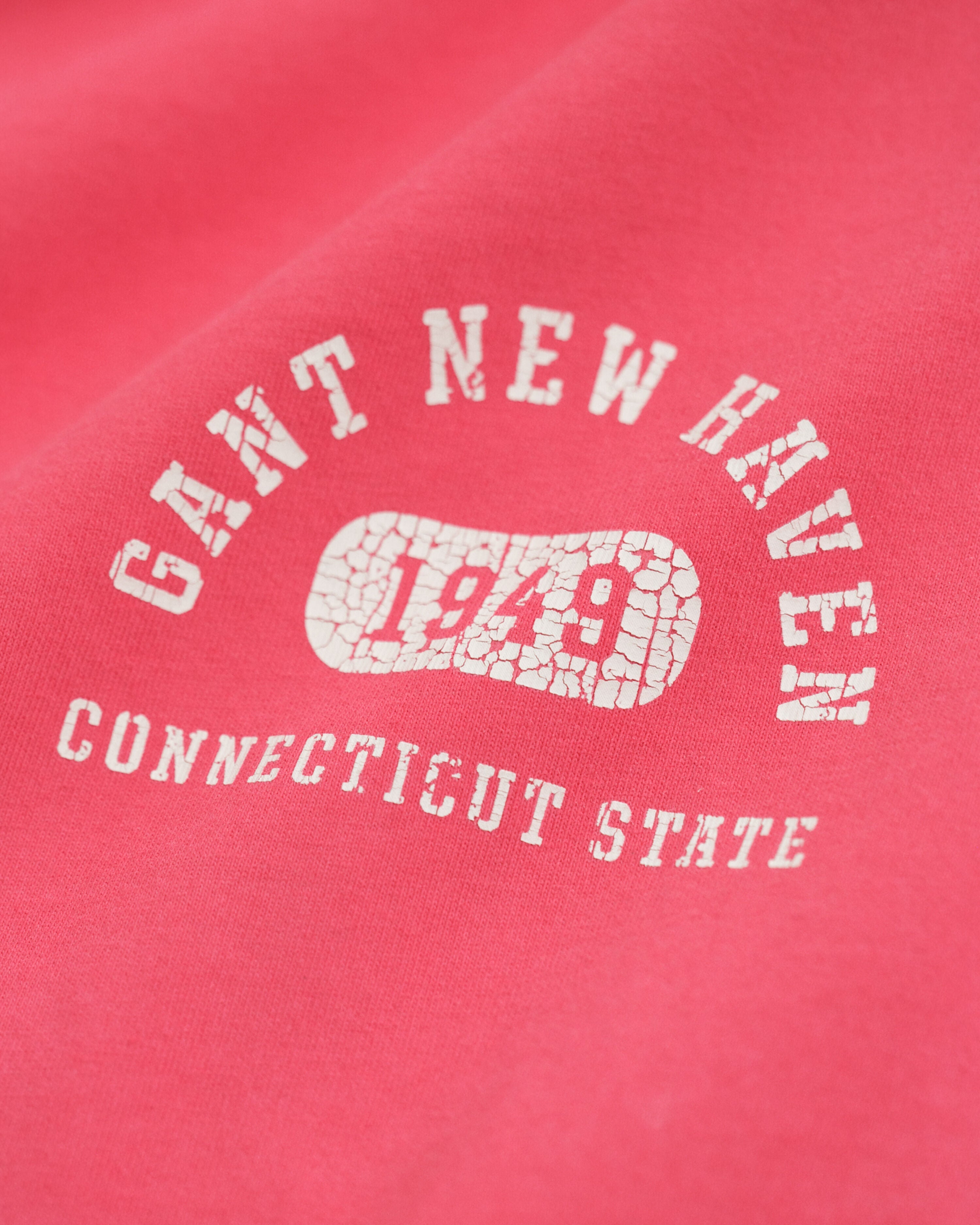 T-Shirt Με Στάμπα Varsity